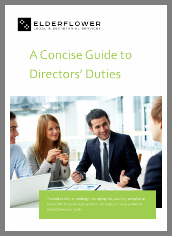 Thumbnail Concise Guide Directors vs