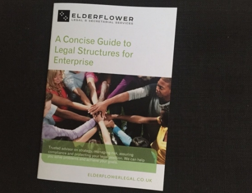 Concise Guide to Legal Structures for Enterprise