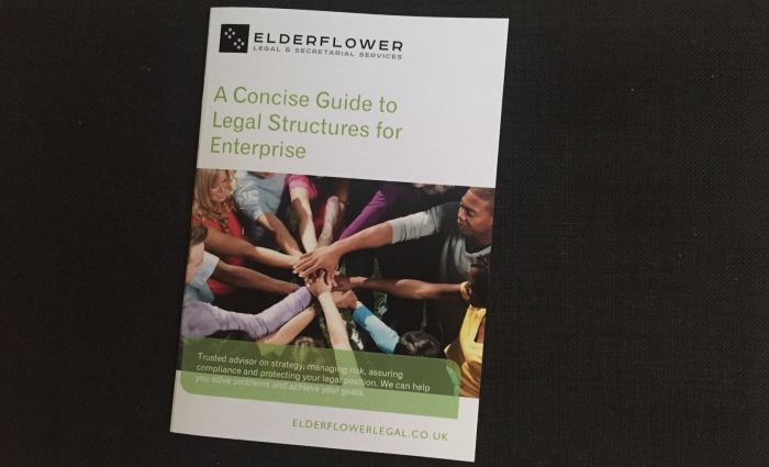 Concise Guide to Legal Structures for Enterprise by Elderflower Legal